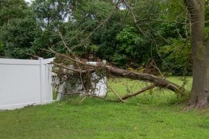 emergency tree service searcy ar