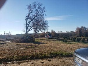 land clearing searcy ar