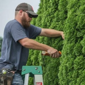 Tree Trimming Service Near Me Searcy AR