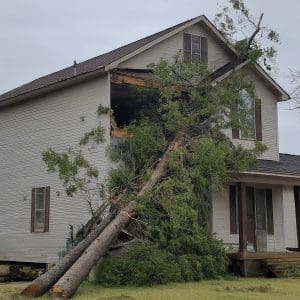 Emergency Tree Removal Augusta Searcy AR