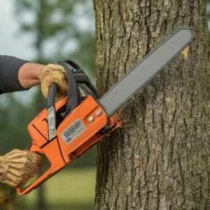 Tree Cutting Companies Near Me Searcy AR